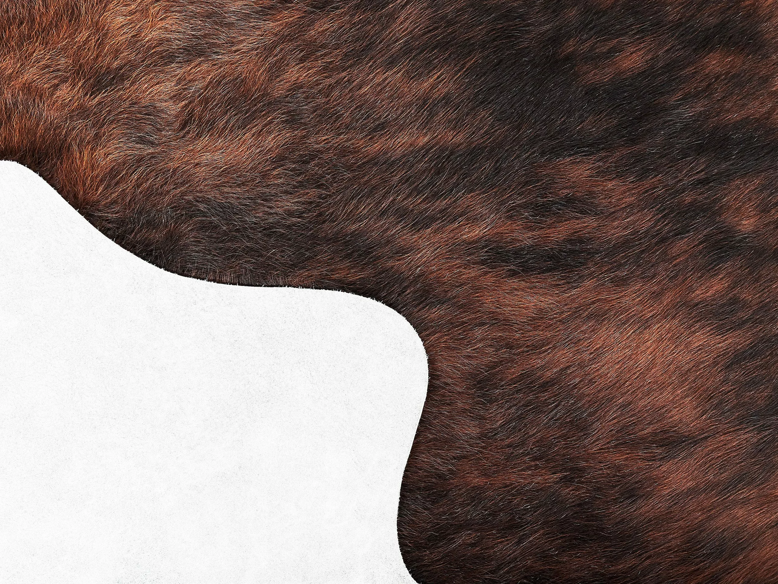 Beliani Lehmäntalja Ruskea NASQU Useita Kokoja 6 Beliani Lehmäntalja Ruskea NASQU Useita Kokoja - Image 4