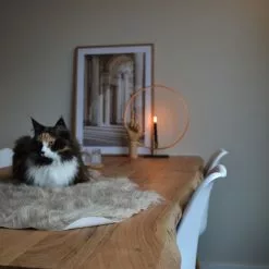 Beliani Tekotalja Beige MUNGO -Ruokapöydät Myyntikauppa undef src sa picid 818877 type whitesh image scaled