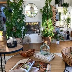 Beliani Sohvapöytä Iso Ja Keskikokoinen Vaalea Puu/musta 2 Kpl MELODY 15 Beliani Sohvapöytä Iso Ja Keskikokoinen Vaalea Puu/musta 2 Kpl MELODY -Ruokapöydät Myyntikauppa undef src sa picid 820867 type whitesh image