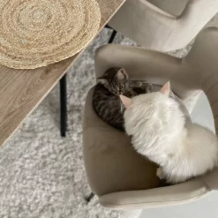 Beliani Ruokapöytä Vaalea Puu/musta 140 X 80 Cm SPECTRA -Ruokapöydät Myyntikauppa undef src sa picid 827107 type whitesh image scaled