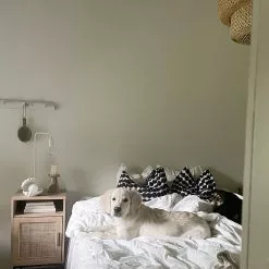 Beliani Yöpöytä Rottinki Kaappi Vaalea Puu PASCO 20 Beliani Yöpöytä Rottinki Kaappi Vaalea Puu PASCO -Ruokapöydät Myyntikauppa undef src sa picid 827479 type whitesh image scaled