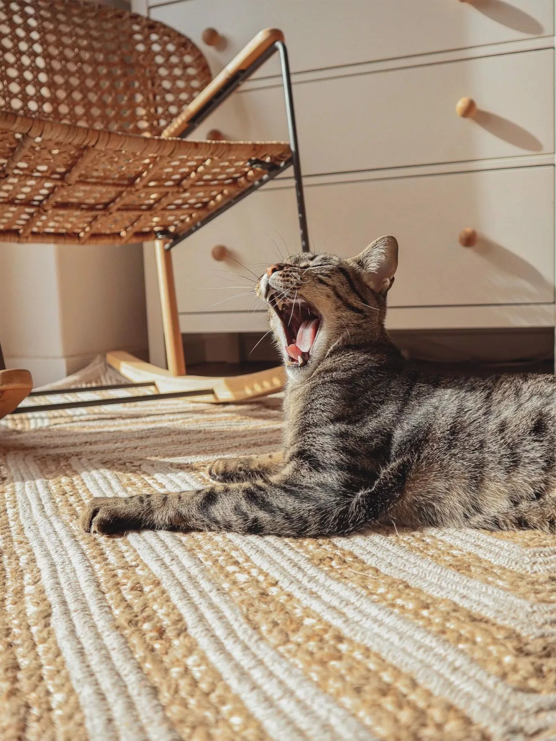 Beliani Matto Puuvilla Beige PIRLI Useita Kokoja - Image 5