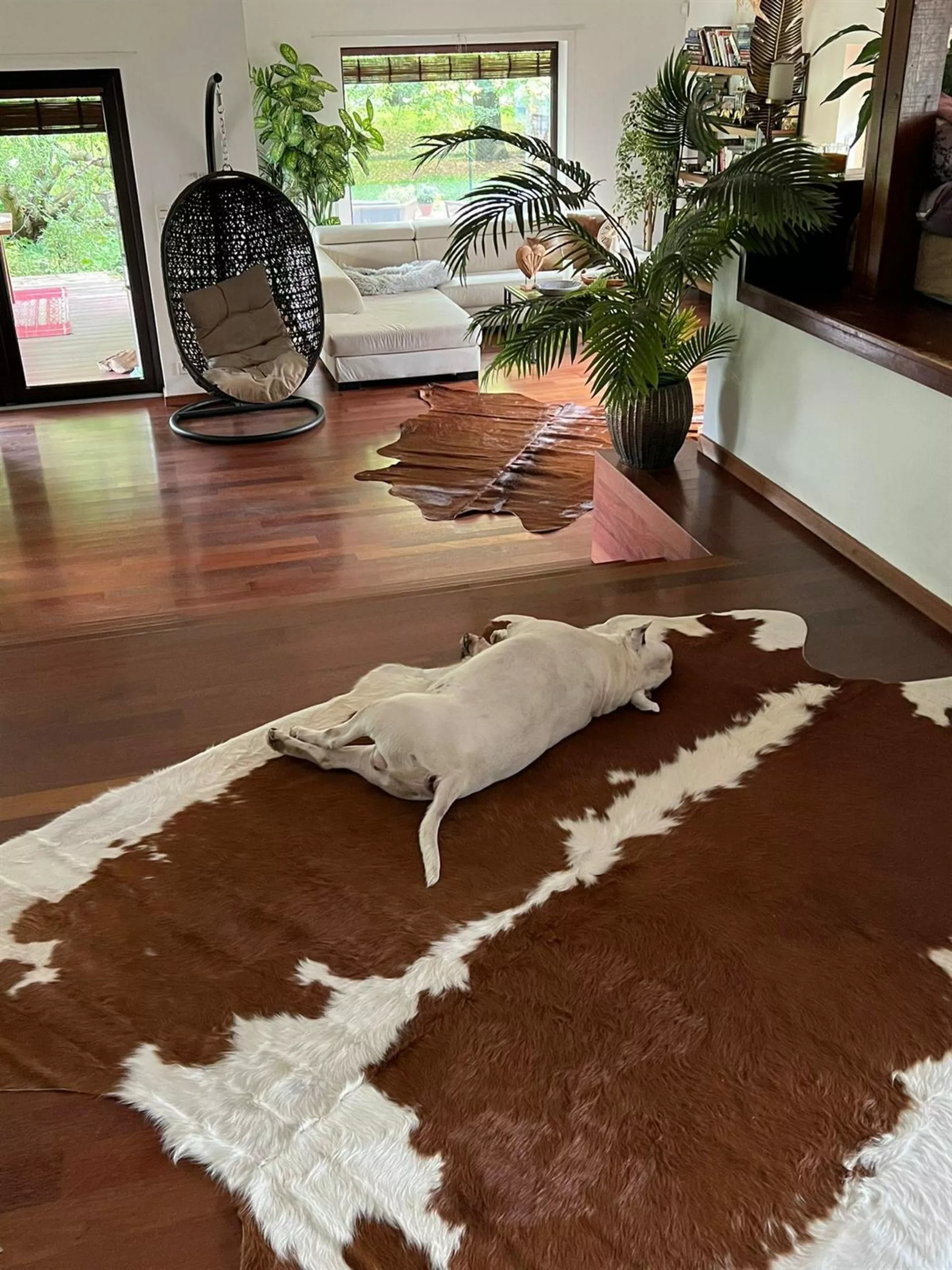 Beliani Lehmäntalja Ruskea/valkoinen NASQU Useita Kokoja 5 Beliani Lehmäntalja Ruskea/valkoinen NASQU Useita Kokoja - Image 3